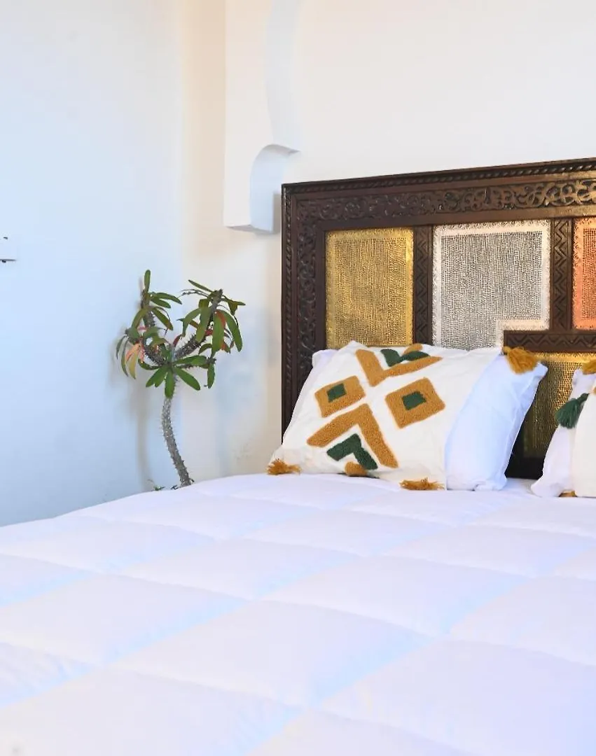 Dar Dmana Apartment Marrakesh